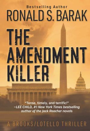 [Brooks/Lotello Thriller 01] • The Amendment Killer